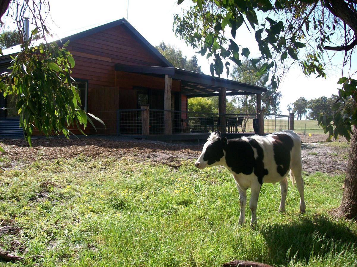 Silversprings Spa Retreat Pet Friendly Cottages And Glampings Metricup Exterior photo